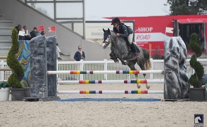 Ongelooflijke pony cso