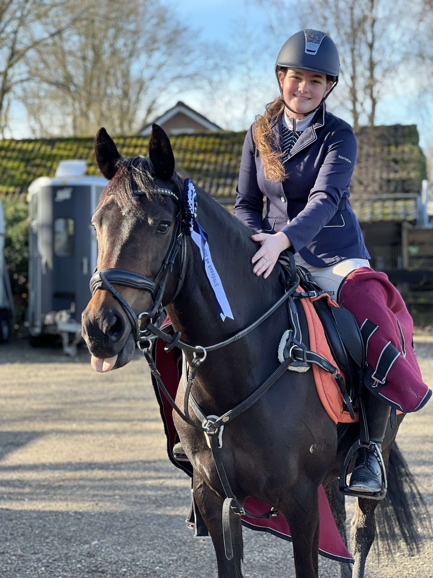 allround-pony merrie 18 jaar te koop - Foto 5