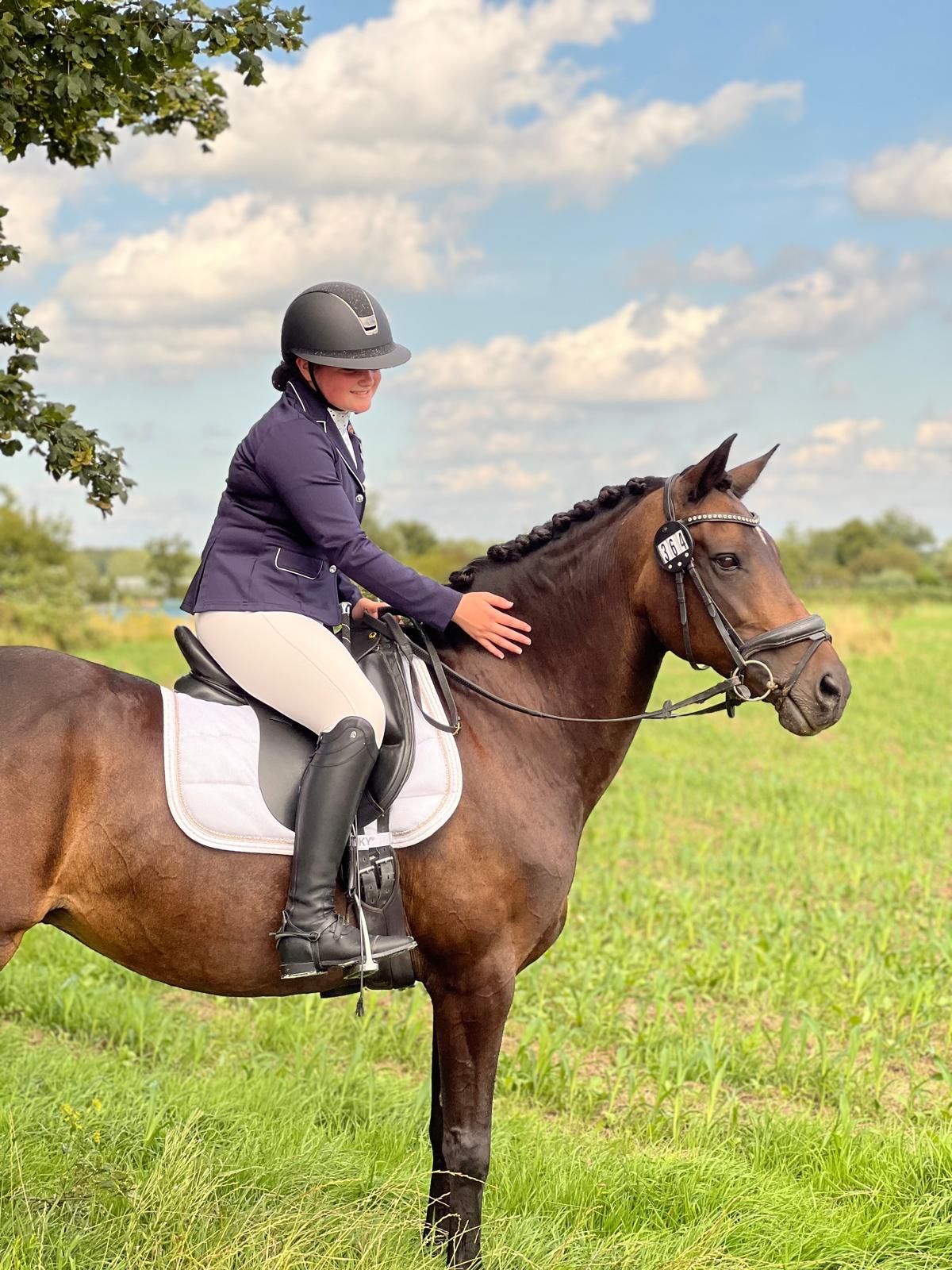 allround-pony merrie 18 jaar te koop - Foto 4