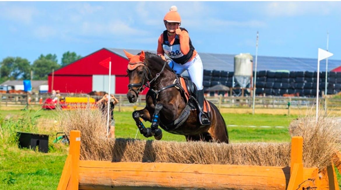 allround-pony merrie 18 jaar te koop - Foto 3