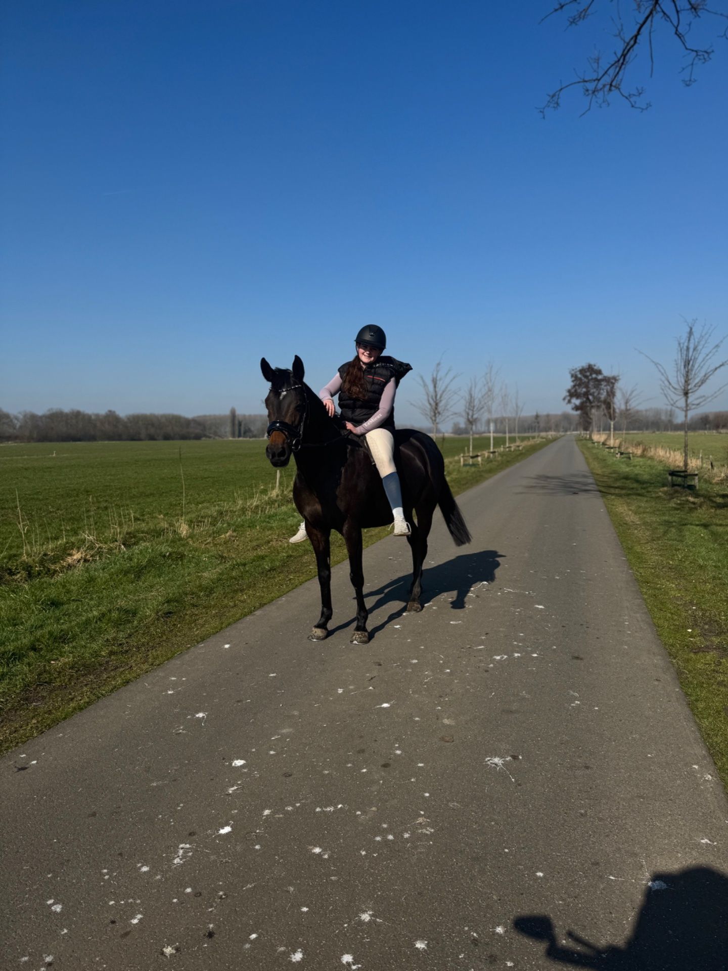 allround-pony merrie 18 jaar te koop - Foto 6