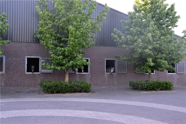 Stal van den Hurk - Foto 3