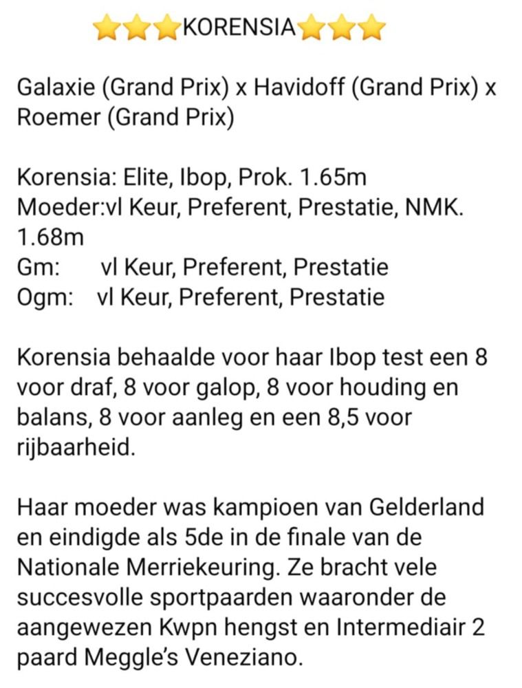 dressuurpaard Hengst Palomino te koop - Foto 3