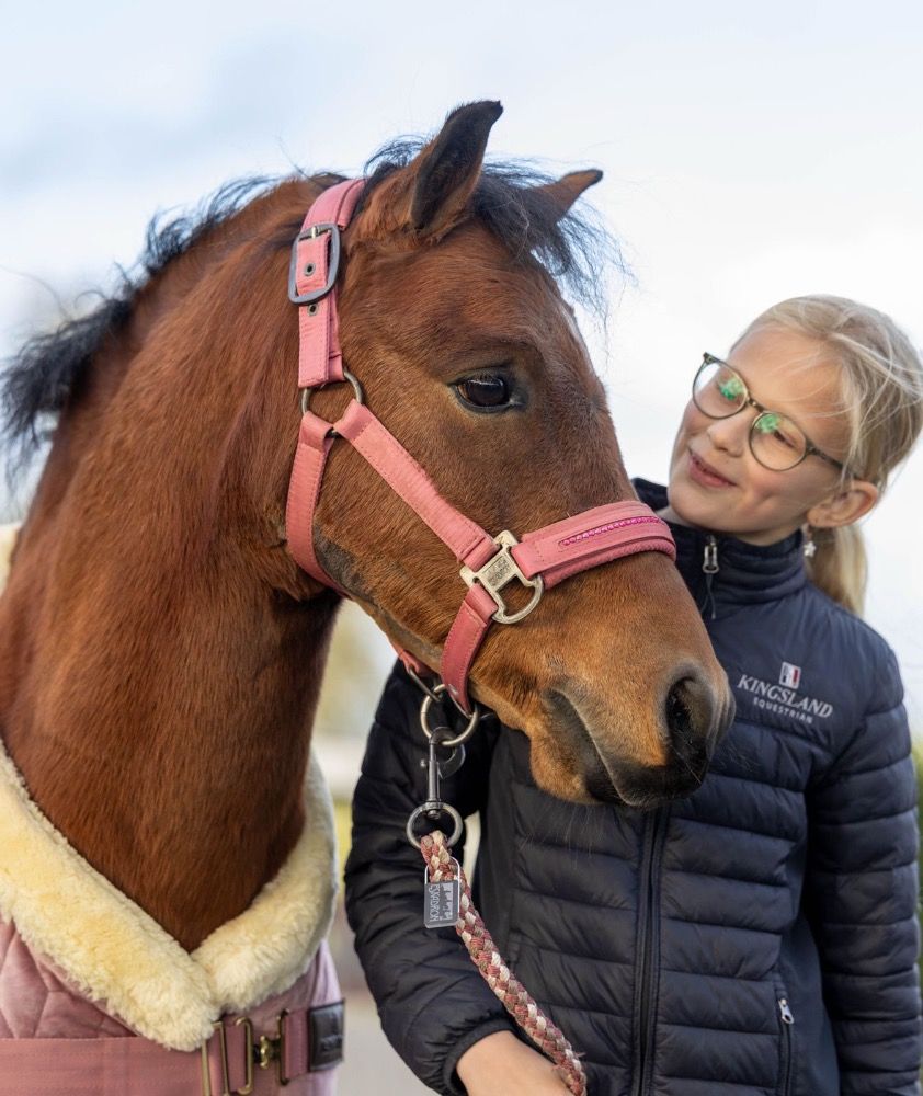 Lieve 9 jarige A pony