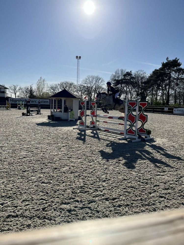 springpony te koop - Foto 5