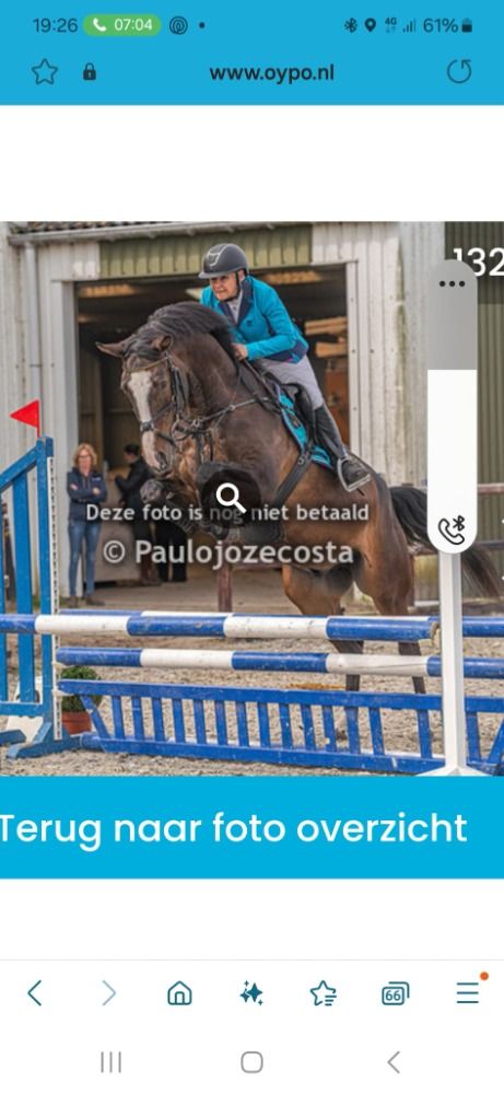 KWPN allrounder Ruin 6 jaar Donkerbruin te koop - Foto 5
