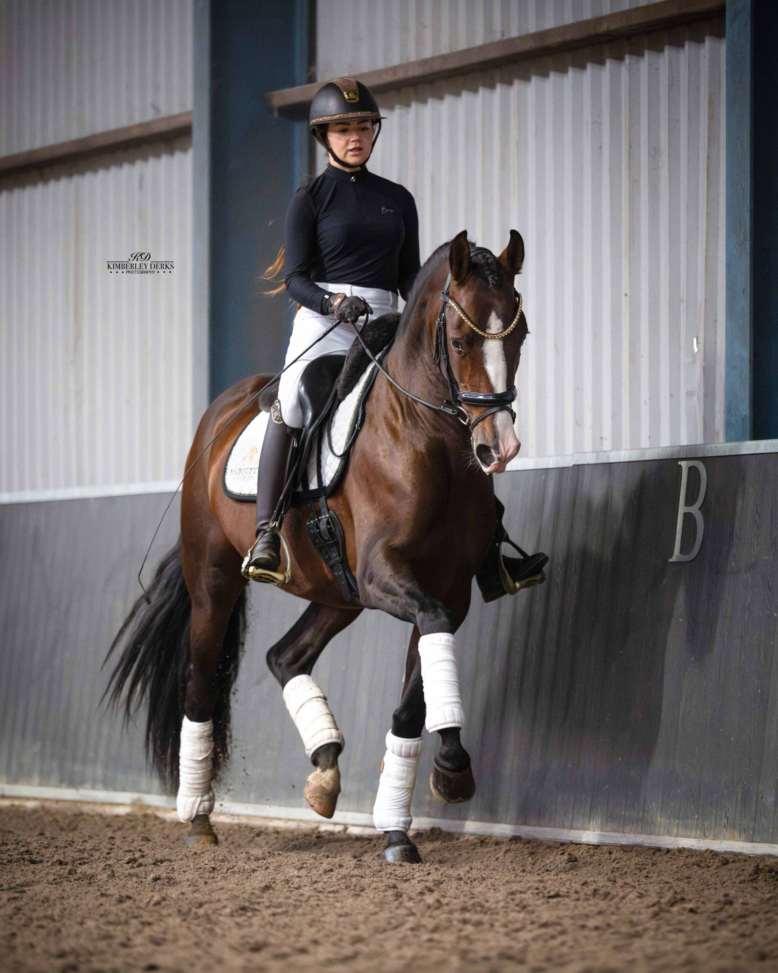 pre dressuurpaard hengst 4 år donkerbruin till salu - Foto 6