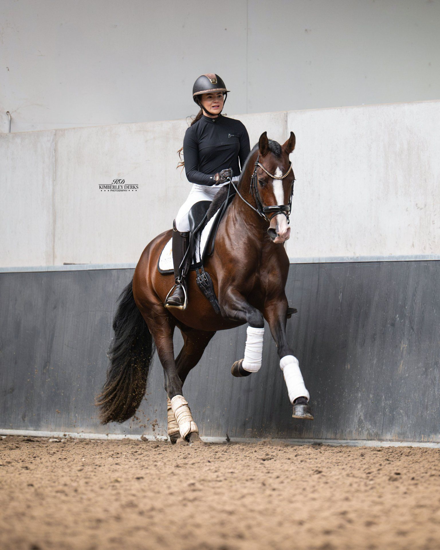 pre dressuurpaard hengst 4 år donkerbruin till salu - Foto 2