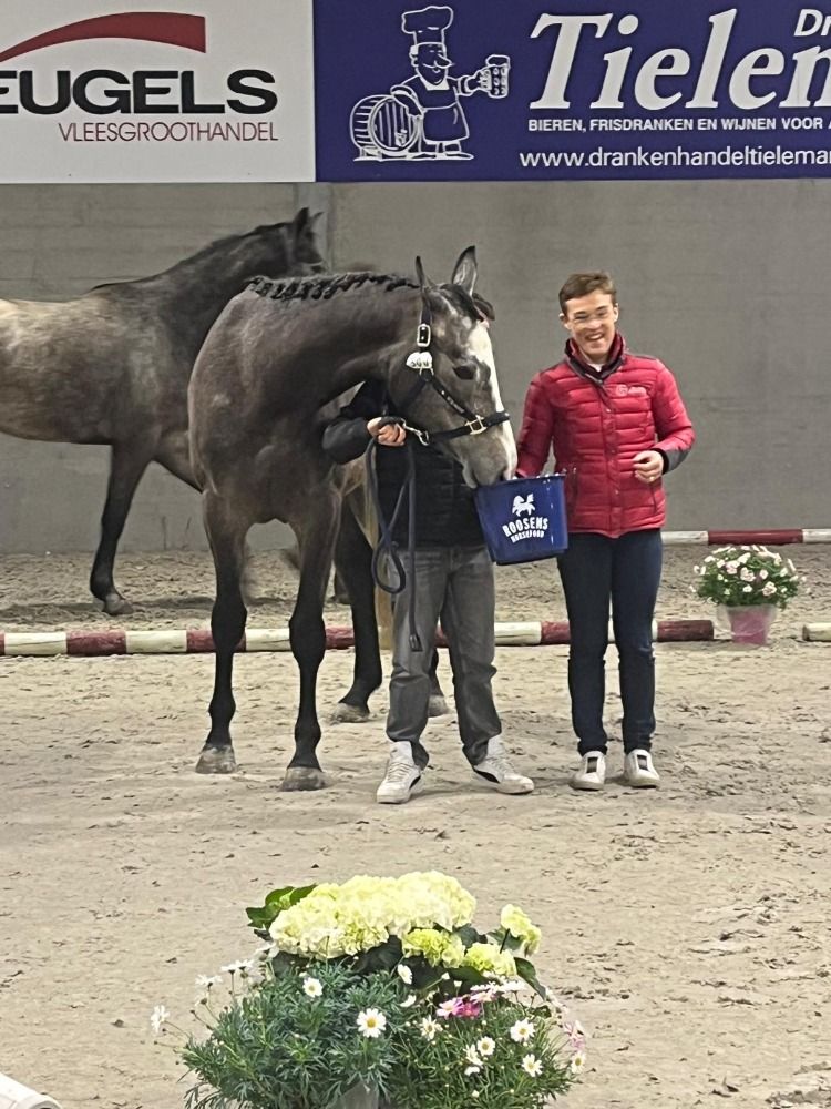 Mooie 3 jarige merrie uit top bloedlijn