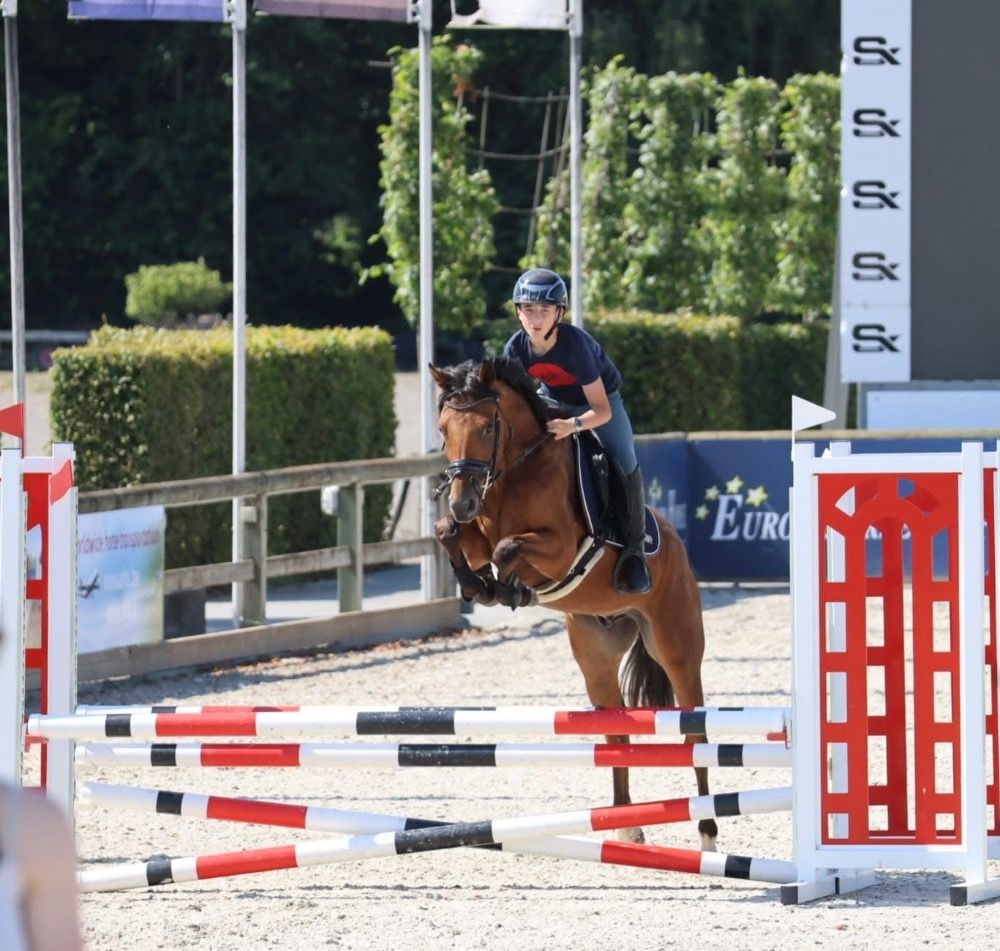 5jarige ruin te koop