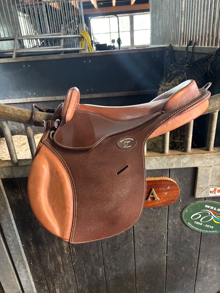 GUY CANTIN Educative Saddle Havana 16 inch