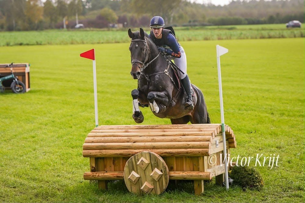 Cheval de complet, Jument, 6 ans