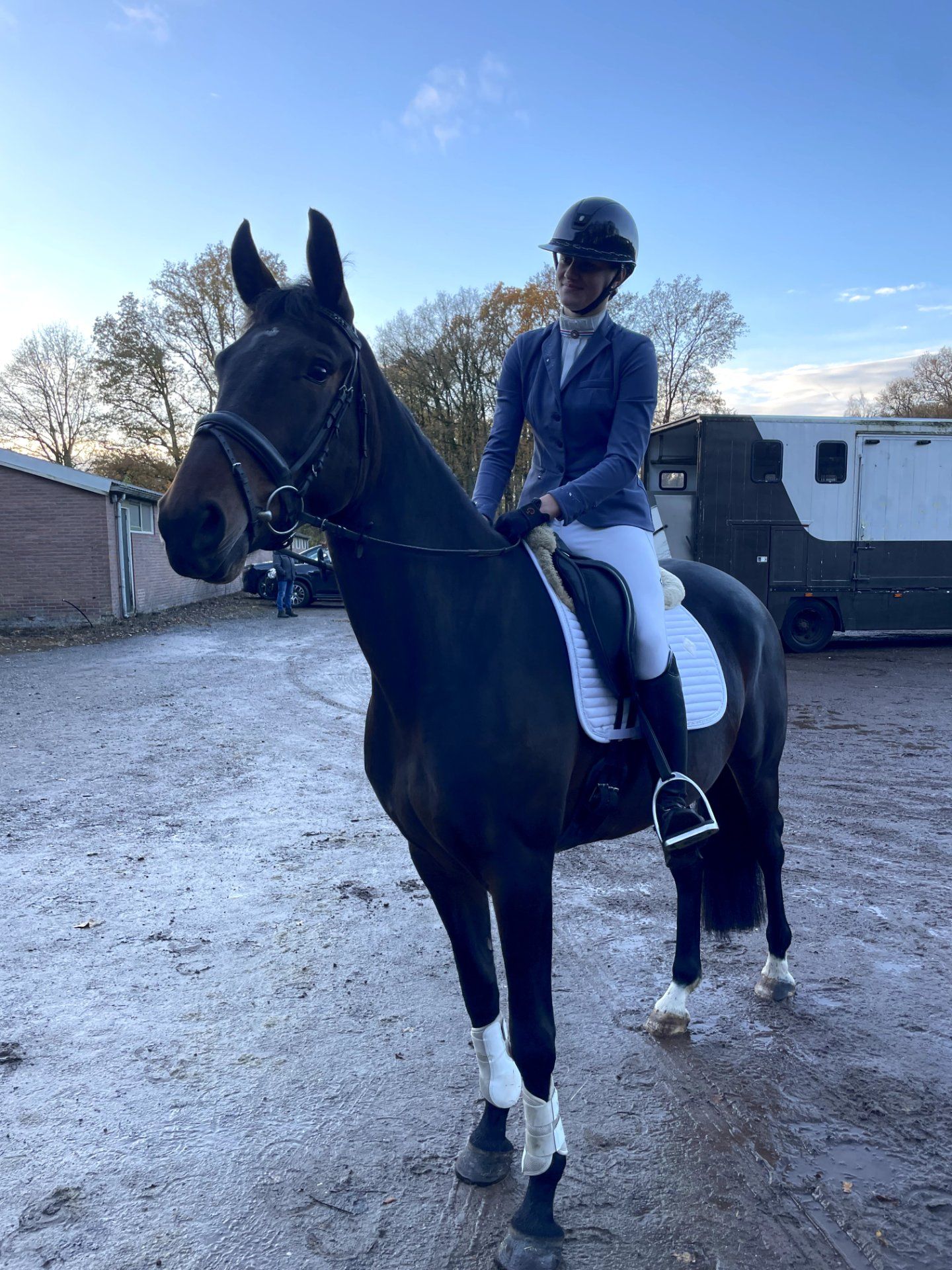 kwpn eventingpaard merrie 6 ans donkerbruin à vendre - Photo 3