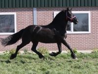 Weelentje