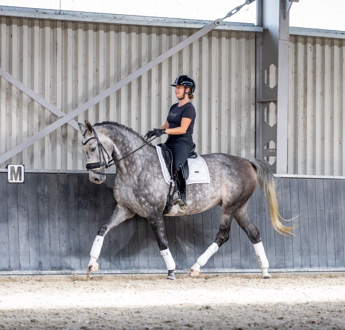 dressuurpaard merrie 8 years old for sale - Photo 6
