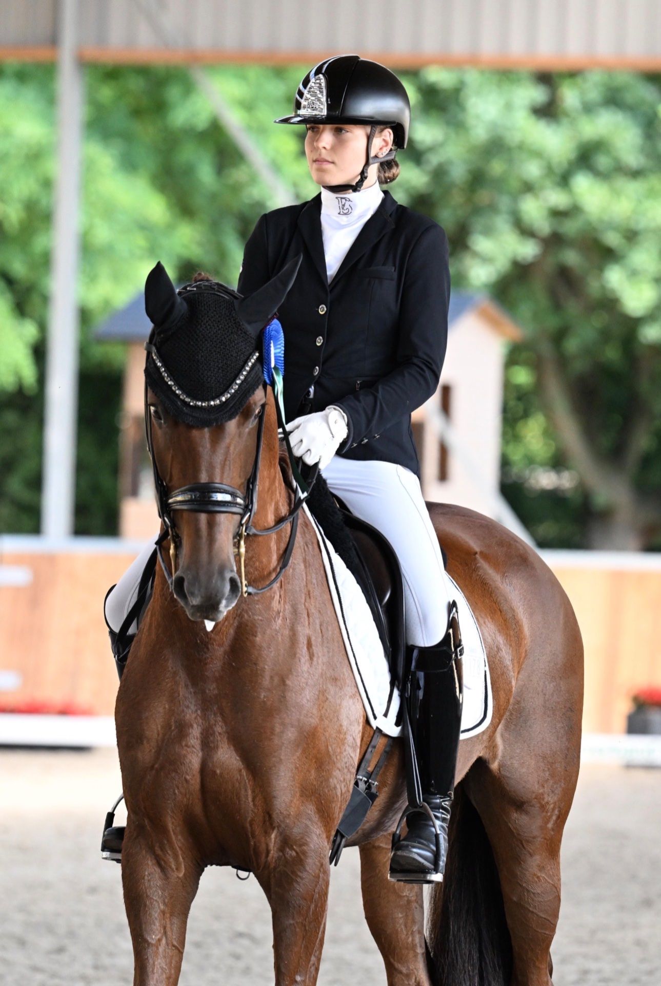 dressuurpaard merrie 10 岁 vos 出售 - 照片 4