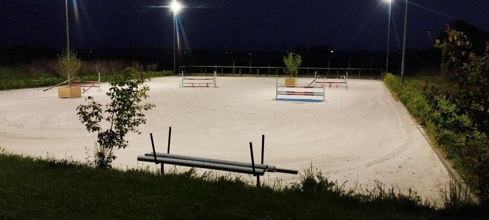 Active Horse Stud Farm - Foto 5