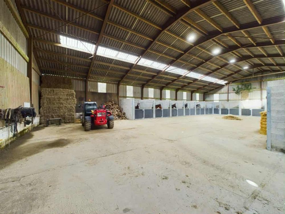 Active Horse Stud Farm - Foto 2