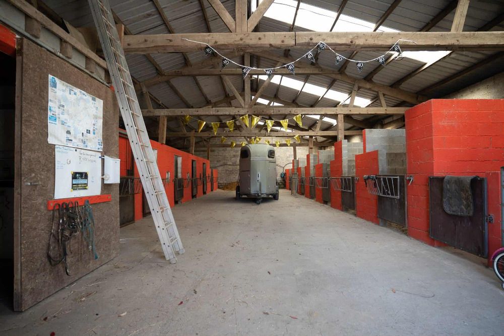Active Horse Stud Farm - Foto 4
