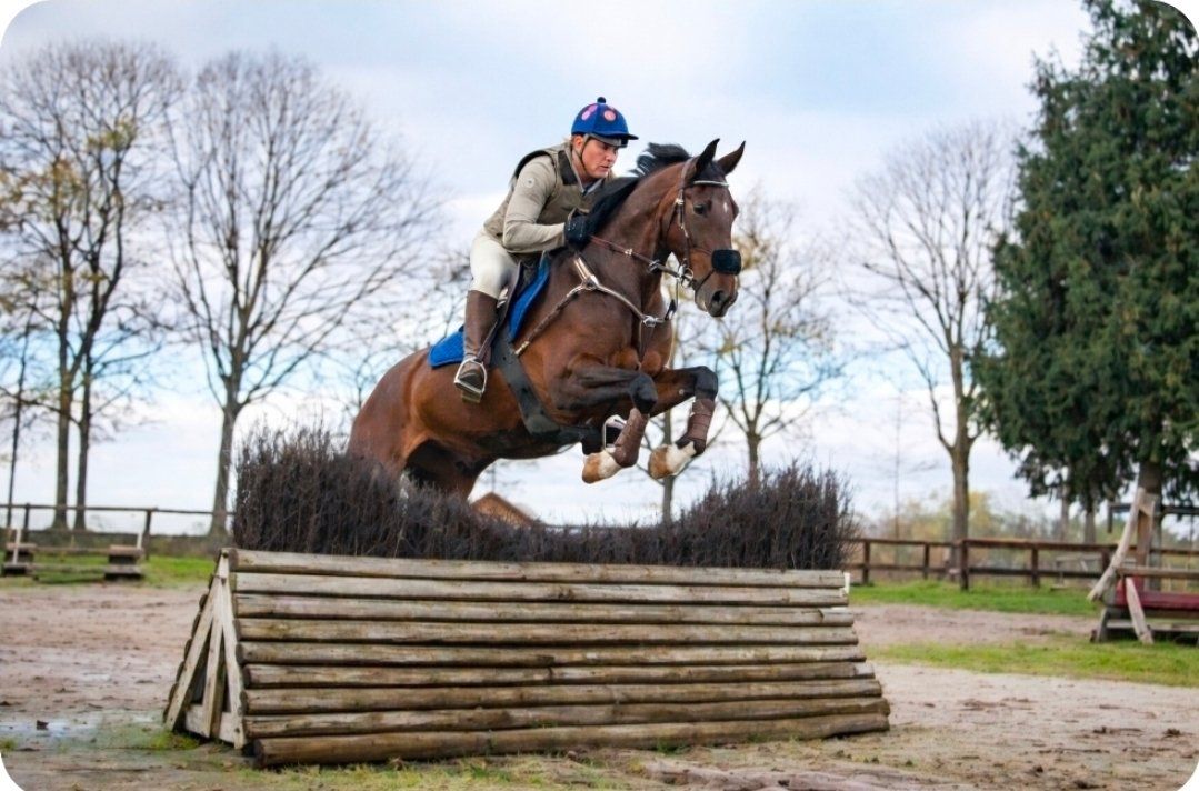 allrounder ruin 6 år till salu - Foto 2