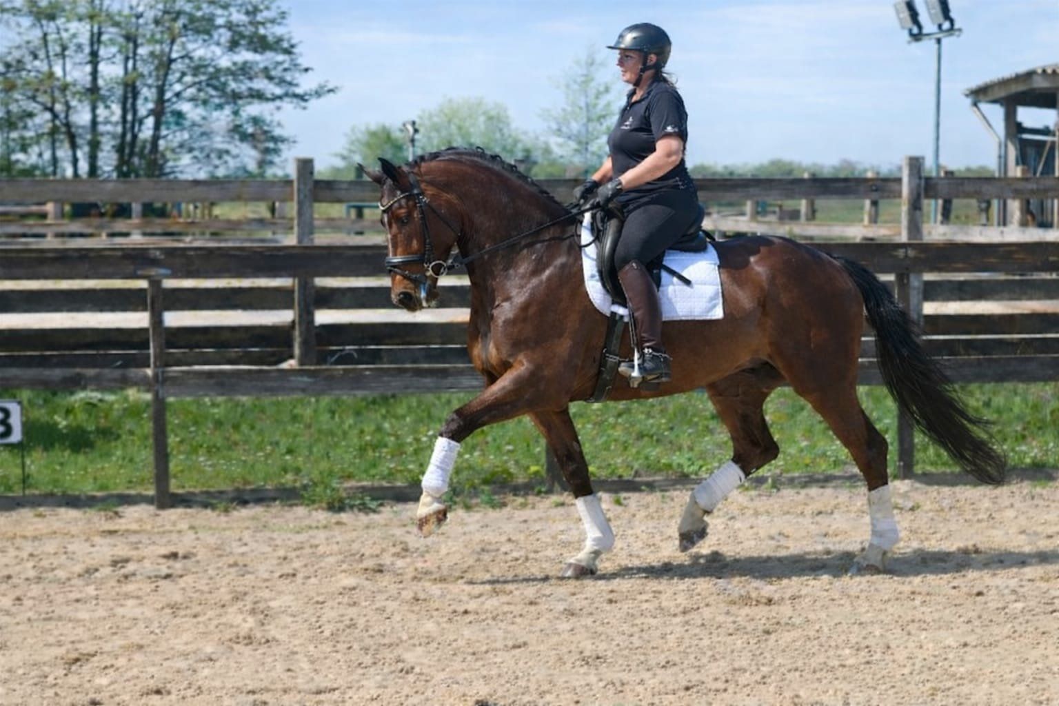 allrounder ruin 6 år till salu - Foto 3