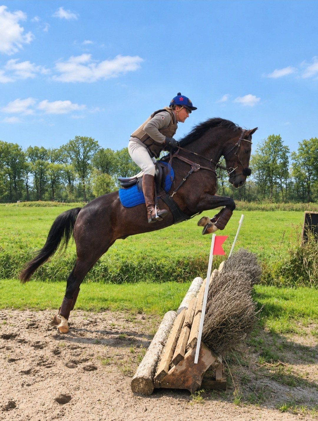 allrounder ruin 6 år till salu - Foto 5