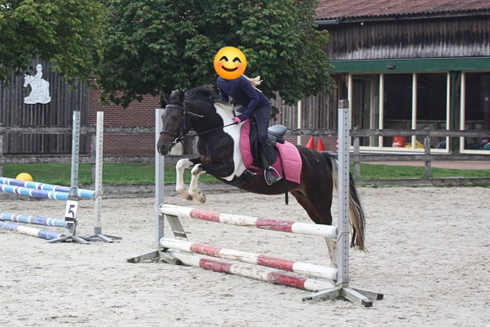 allround-pony Merrie 14 jaar te koop - Foto 2