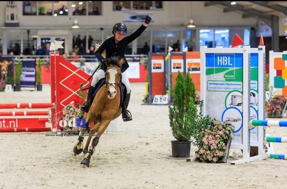 Liebes Allround-D-Pony
