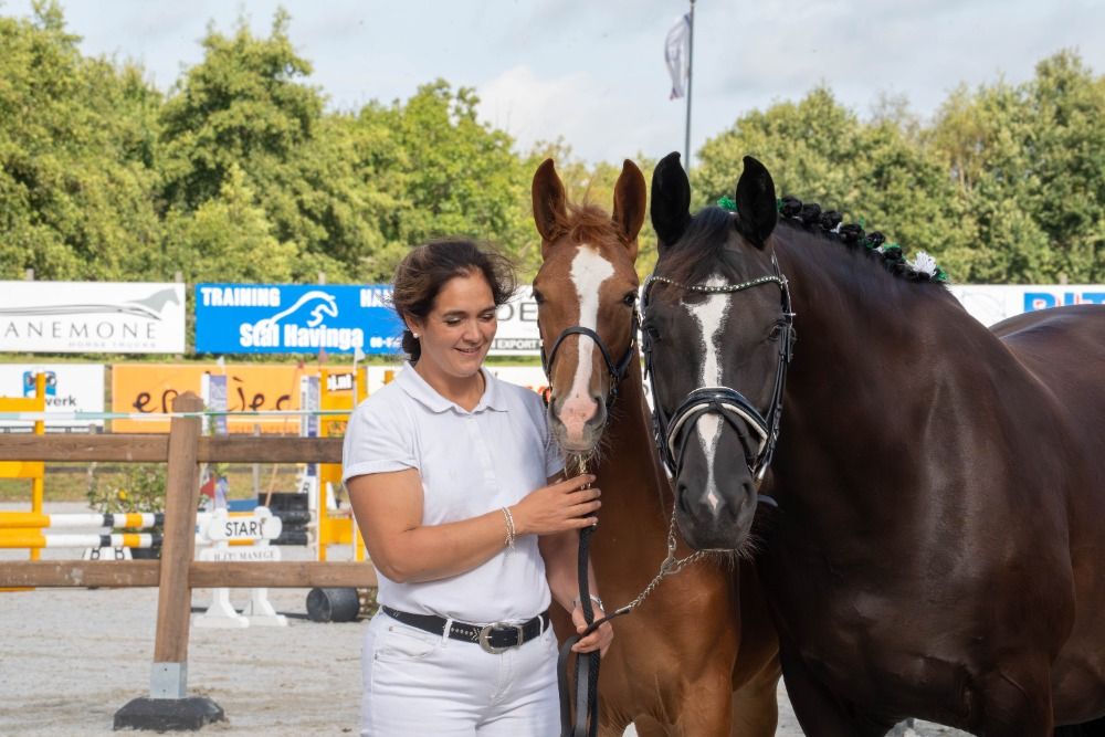 Ander stamboek paard Merrie Vos te koop - Foto 2