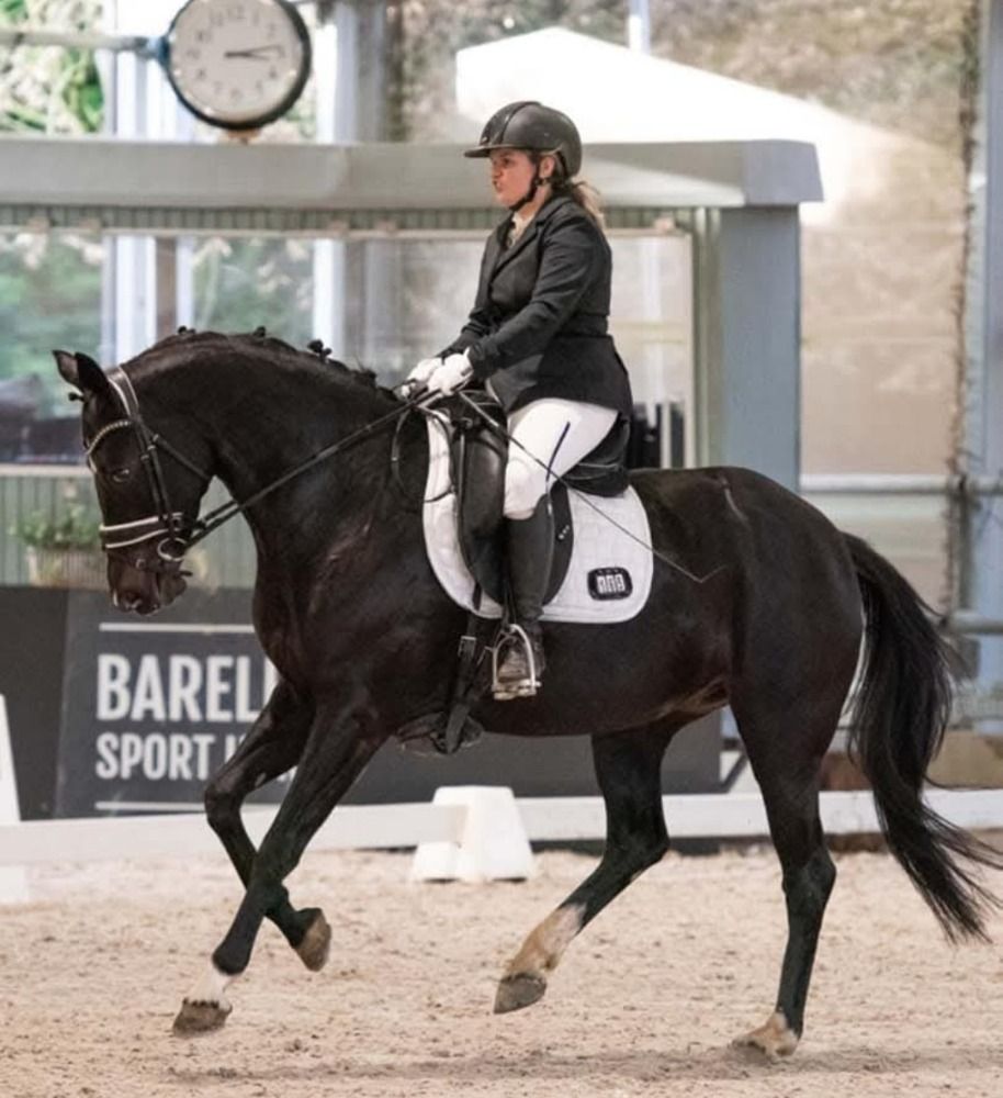 KWPN dressuurpaard Merrie 14 years old Zwart for sale - Photo 6