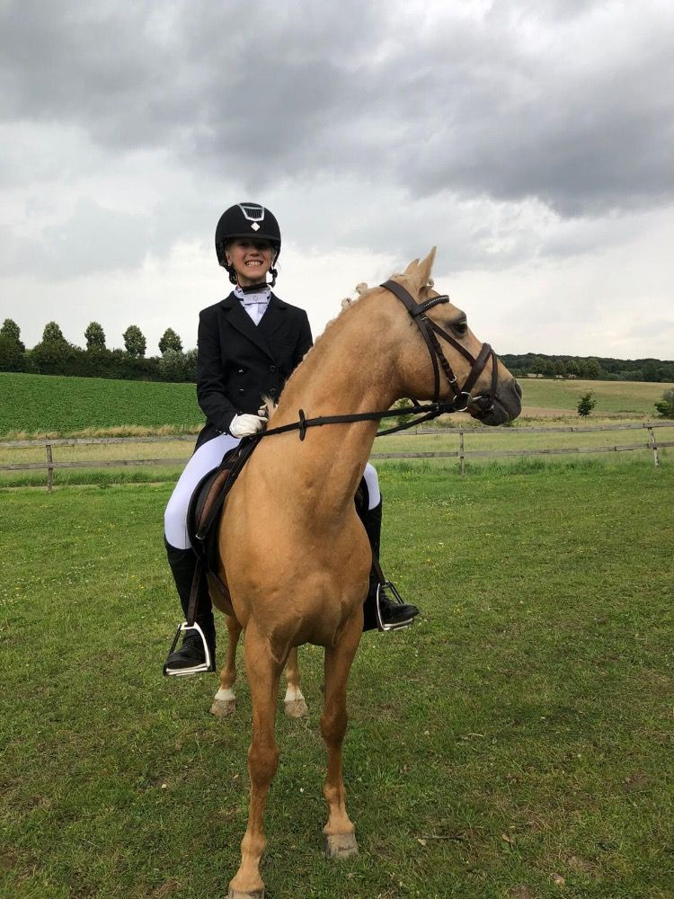 Ander stamboek allrounder Ruin 19 jaar Andere te koop - Foto 2