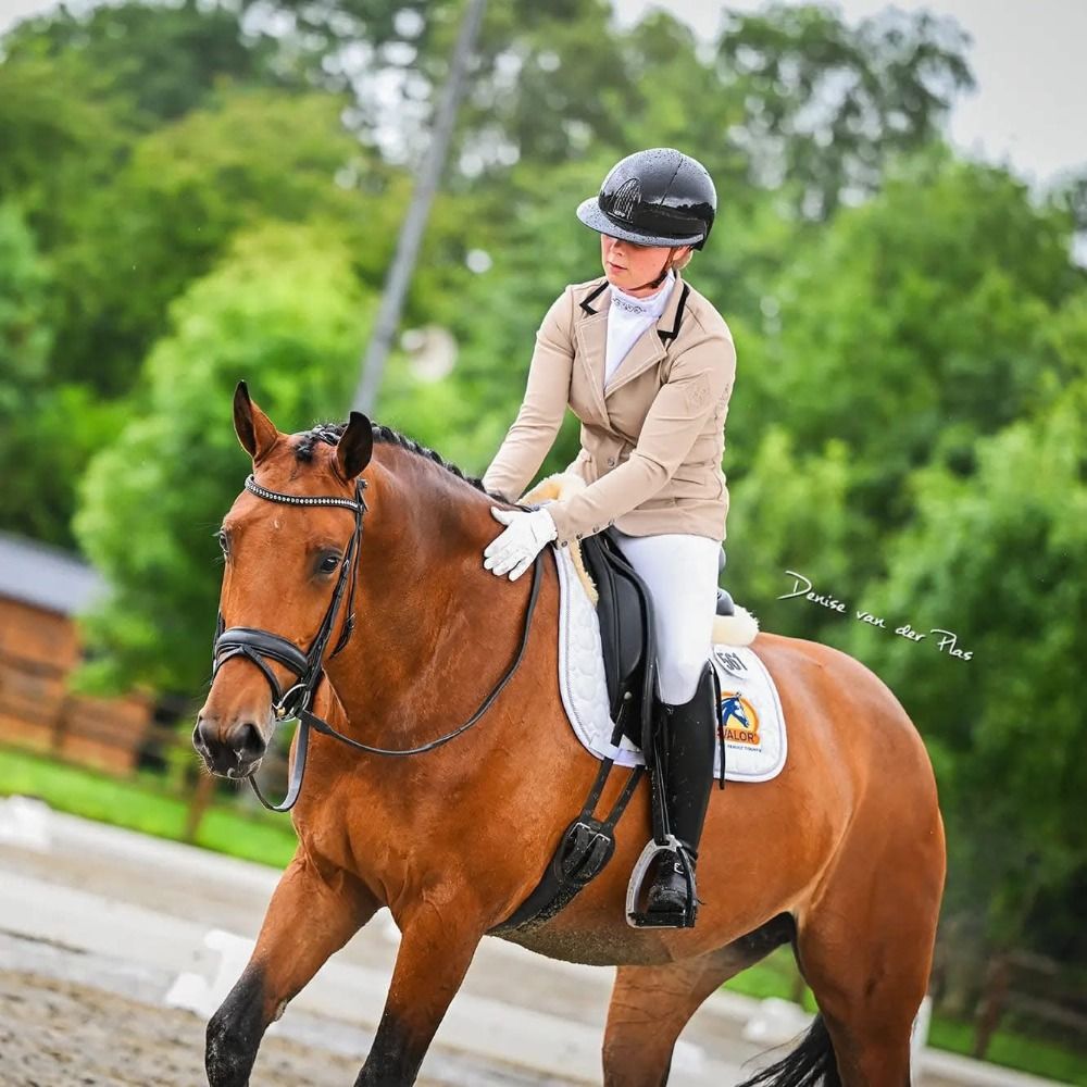 KWPN dressuurpaard Merrie 6 jaar Bruin te koop - Foto 2