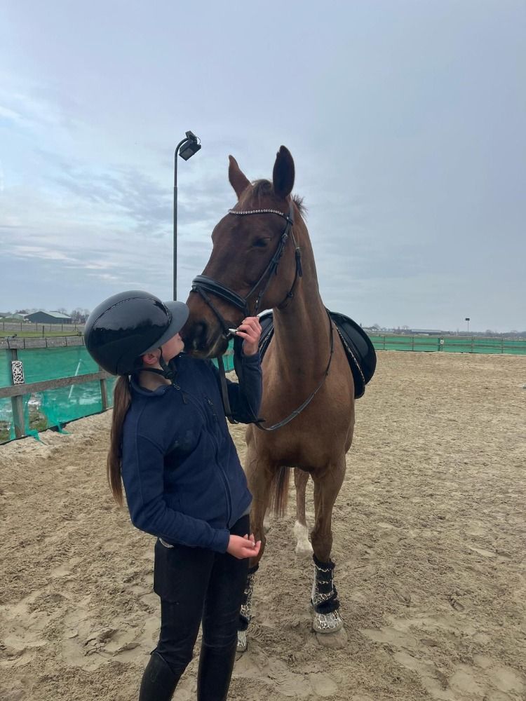 KWPN dressuurpaard Merrie 16 jaar Vos te koop - Foto 3