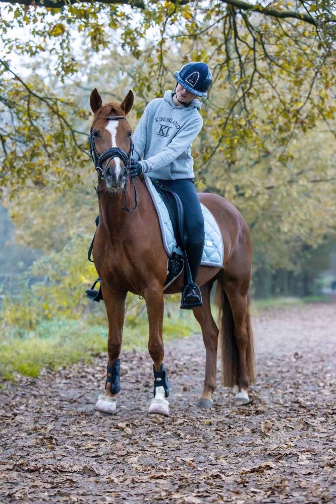 NRPS allround-pony Merrie 4 jaar Vos te koop - Foto 3