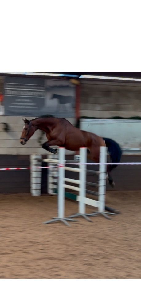 Sportmerrie met potentie