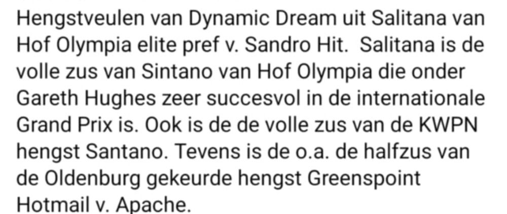 KWPN dressuurpaard Hengst 2 jaar te koop - Foto 3