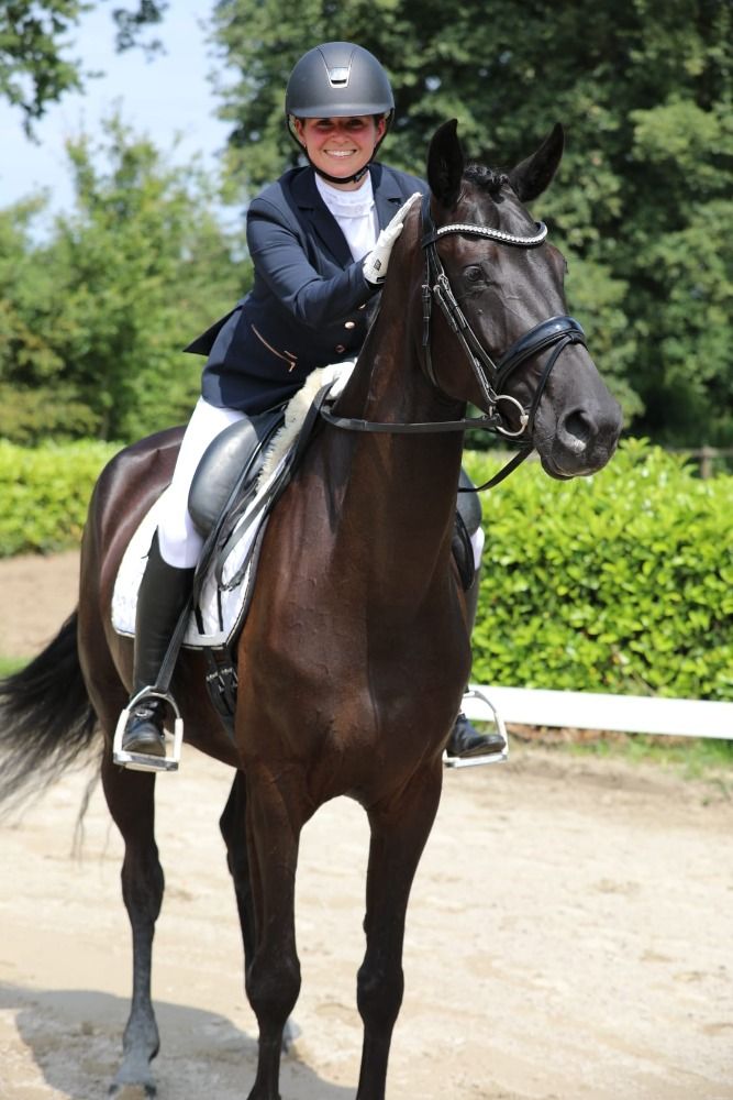 KWPN dressuurpaard Merrie 6 jaar Zwart te koop - Foto 3