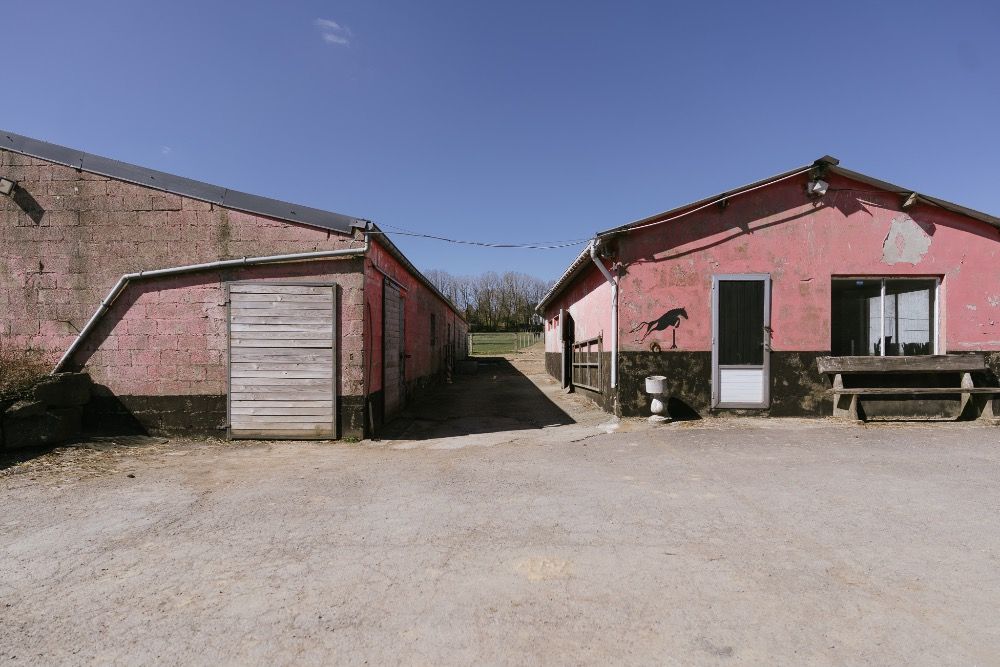 Haras + uitzonderlijk huis in Neufchteau - Foto 3