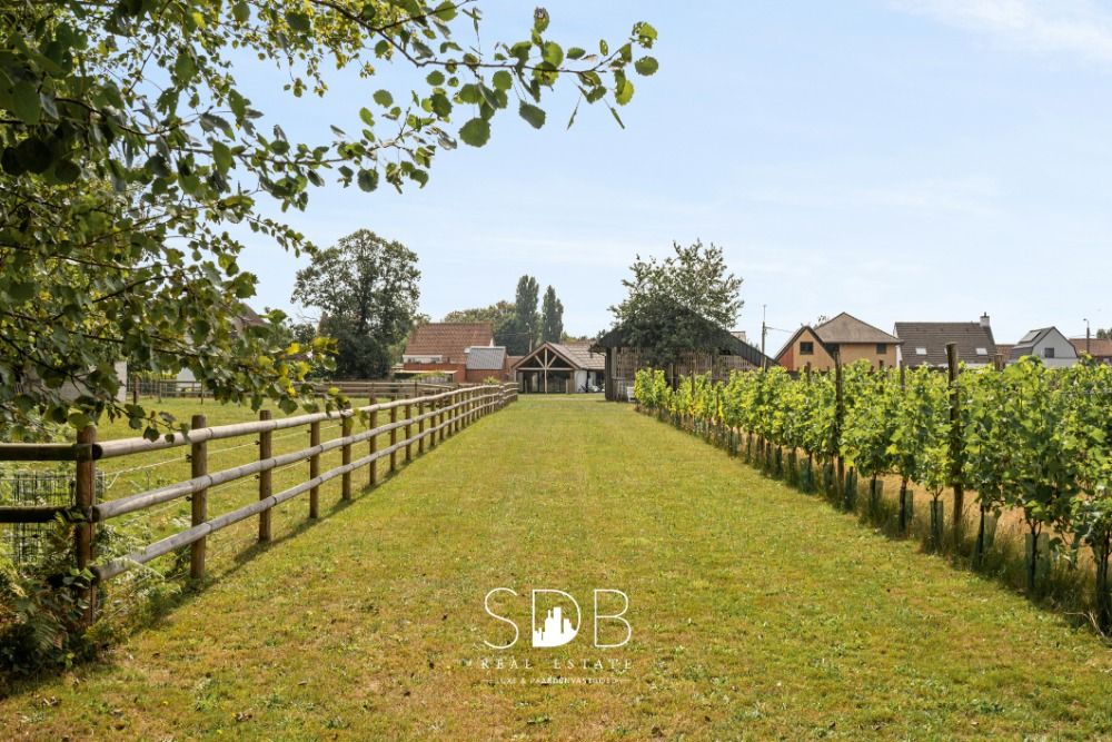 Charmante woning met wijngaard en graslanden op 14.569m te Lochristi | België - Foto 4