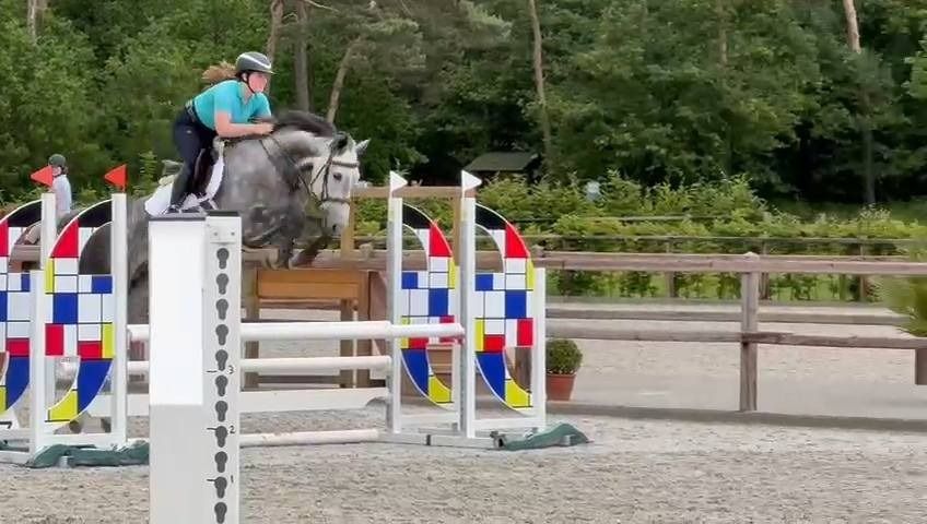 Sweet All Around or Broodmare