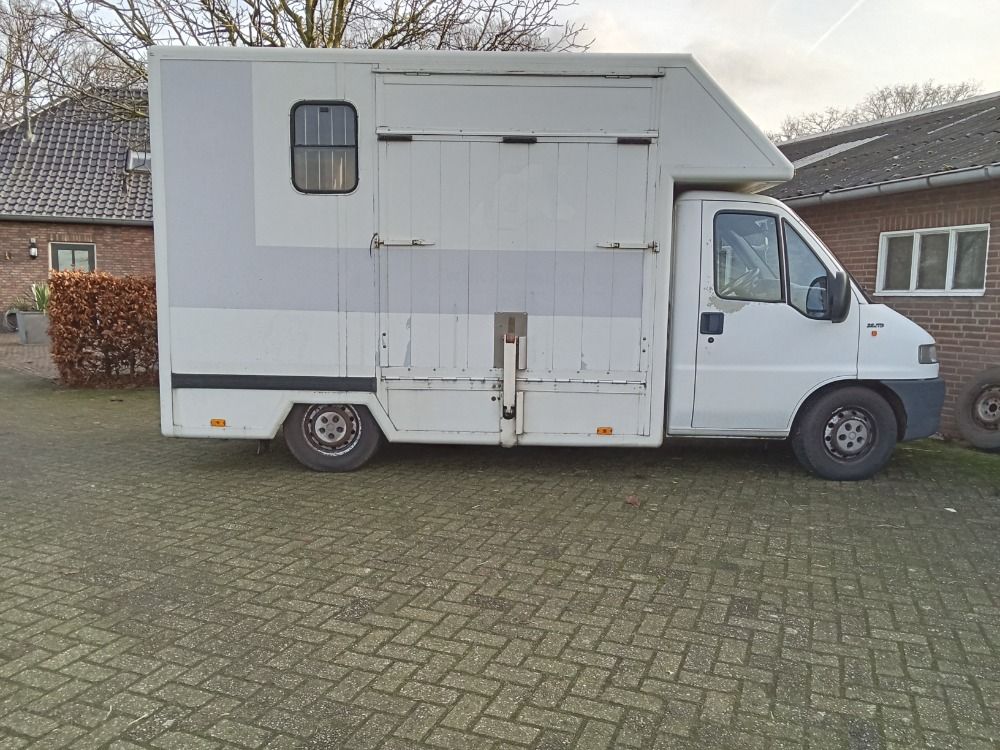 Paardenvrachtwagen B rijbewijs - Foto 2