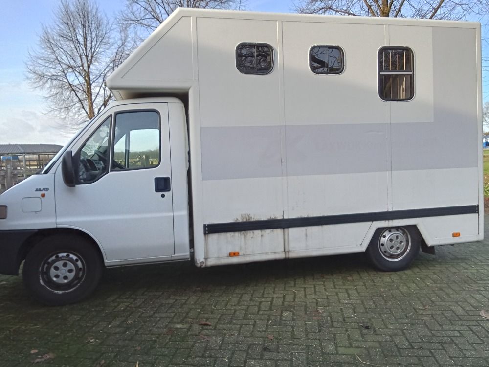 Paardenvrachtwagen B rijbewijs