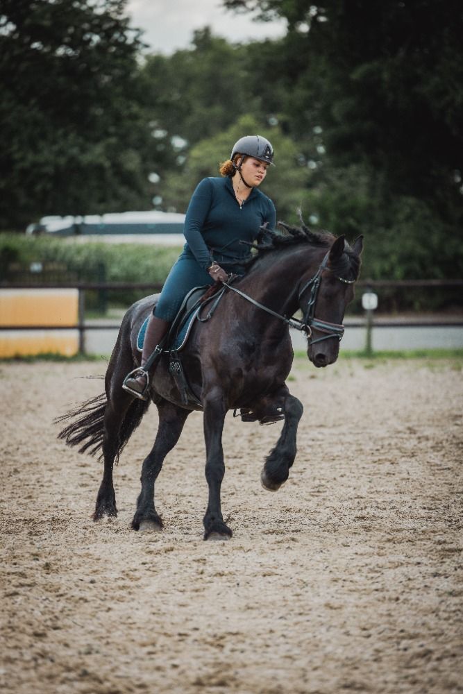 FPS (Nederland) dressuurpaard Ruin 11 jaar Zwart te koop - Foto 5