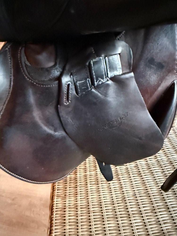 Erreplus jump saddle - Photo 5