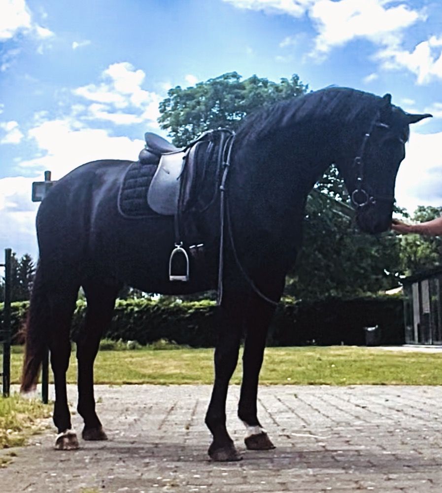 Knappe 5 jarige van Kjento