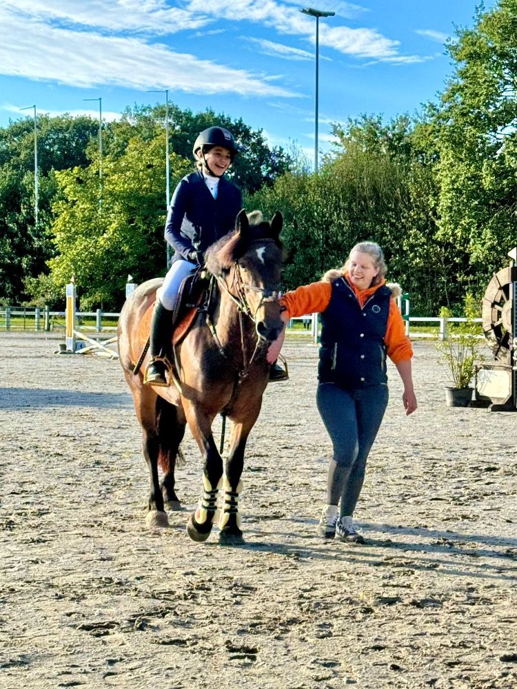 allround-pony Merrie 7 jaar Bruin te koop - Foto 2
