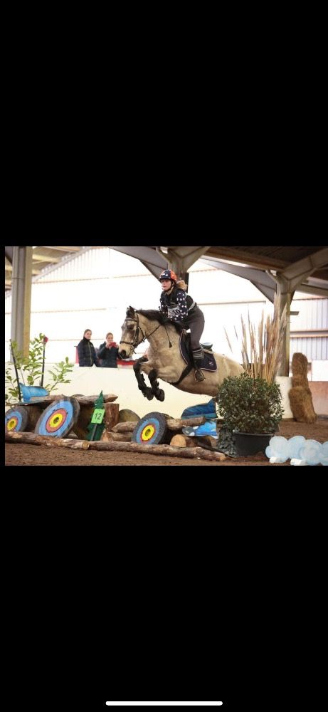 Ander stamboek springpony Ruin 9 jaar Andere te koop - Foto 4
