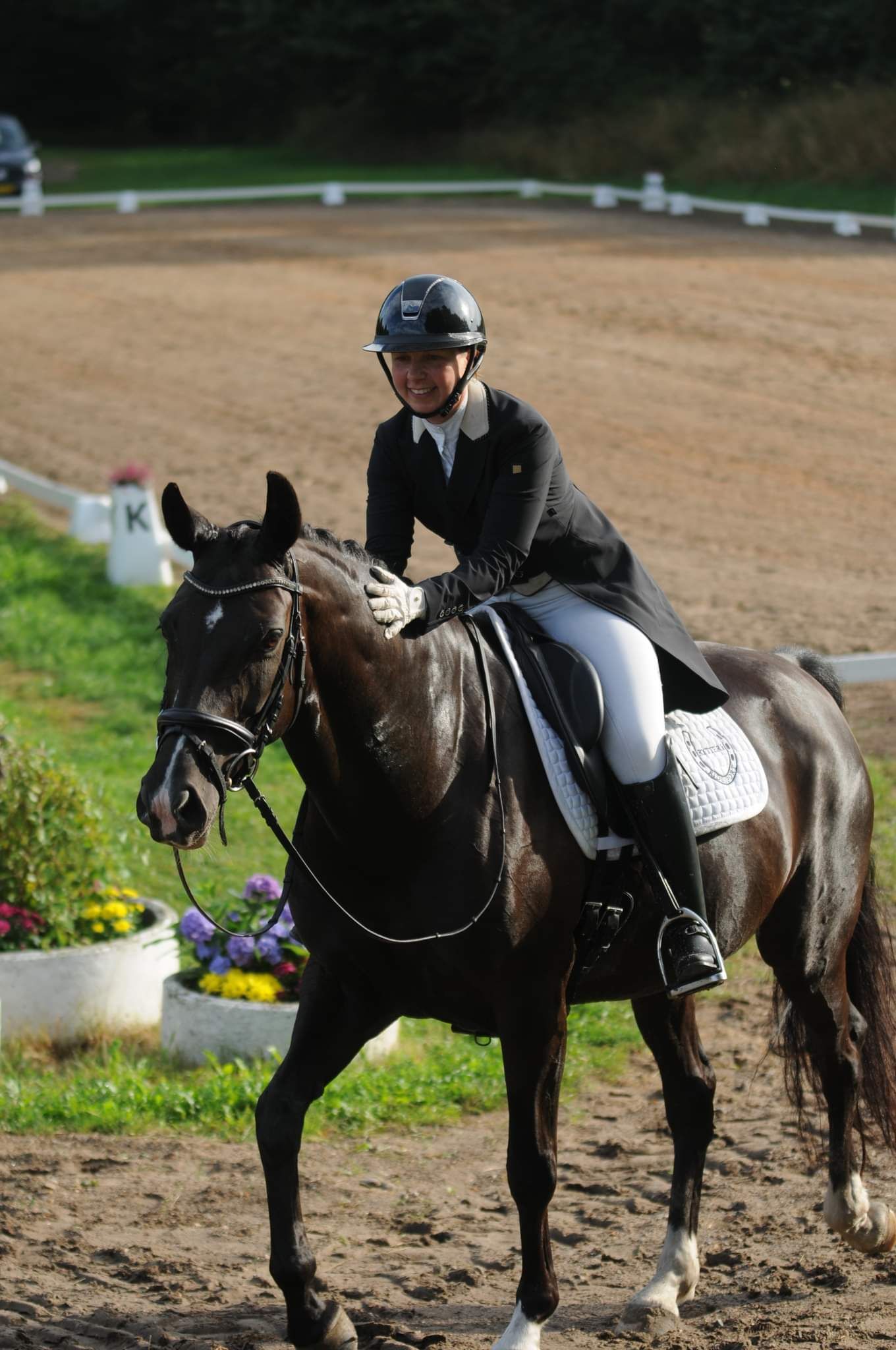 Danish Warmblood dressage mare 2013 år Black till salu - Foto 2