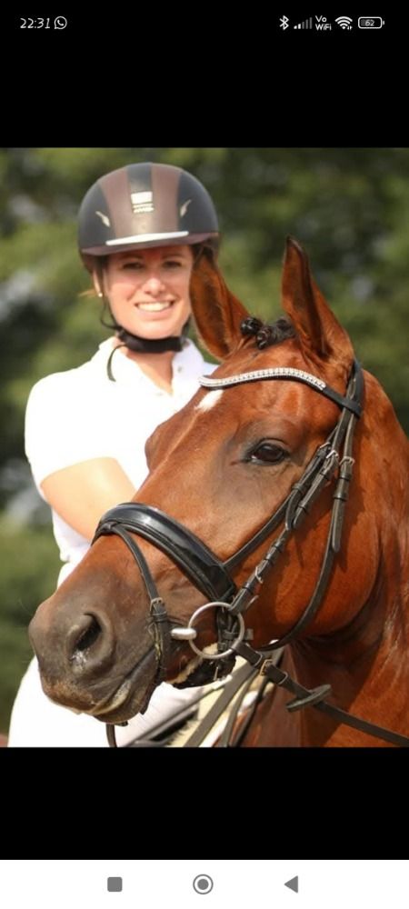 Hannover dressuurpaard Merrie 11 jaar Bruin te koop - Foto 5