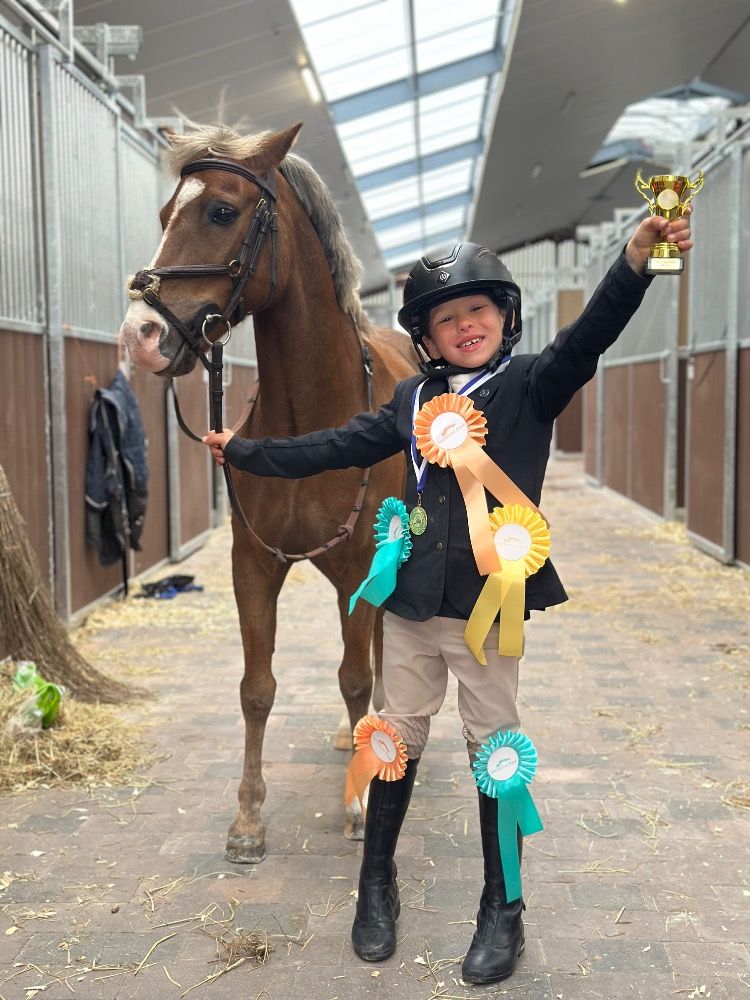 New Forest springpony Ruin 11 años Vos en venta - Foto 5